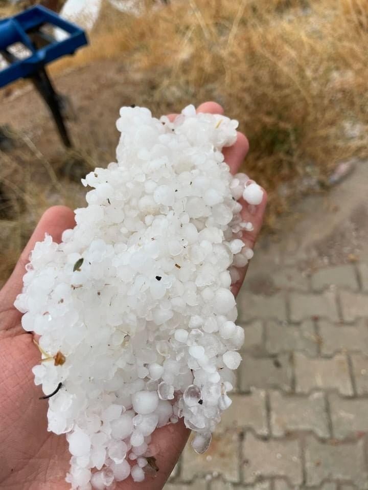 Elazığ'da Sağanak ve Dolu Tarım Alanlarını Vurdu