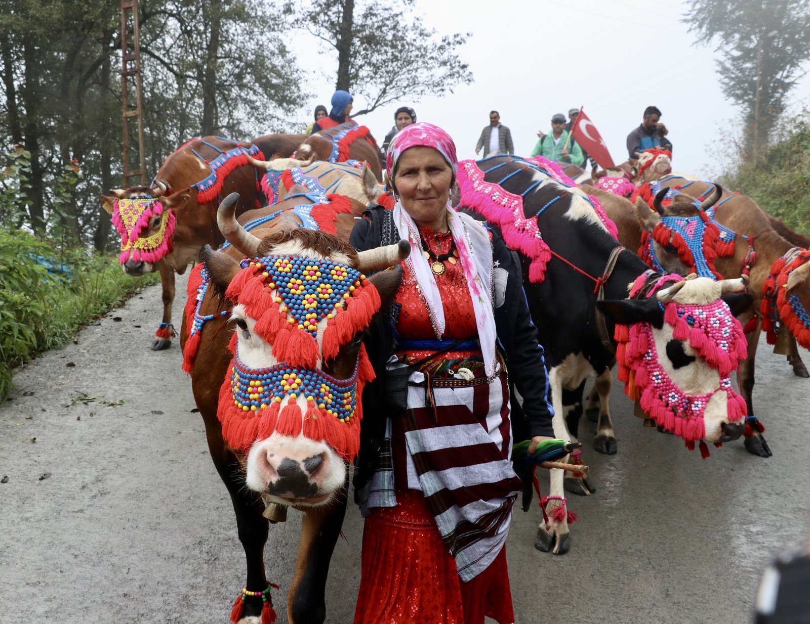 Yayla Göçü Geleneği ve Besicilerin Hazırlıkları